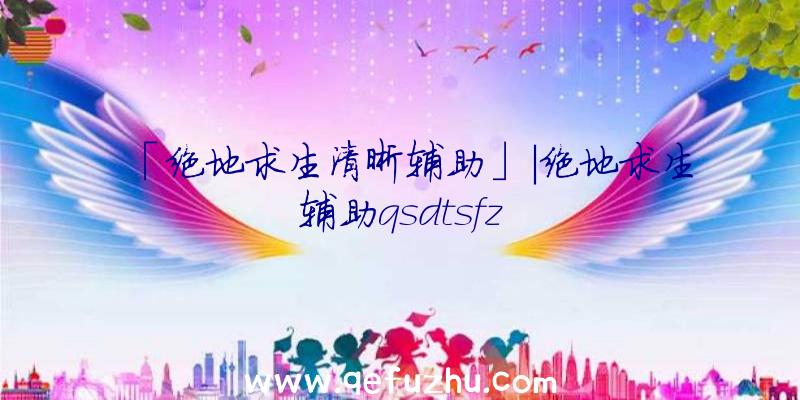 「绝地求生清晰辅助」|绝地求生辅助qsdtsfz